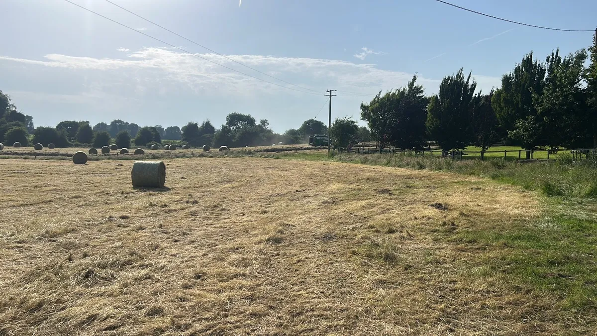 Hay - Image 1