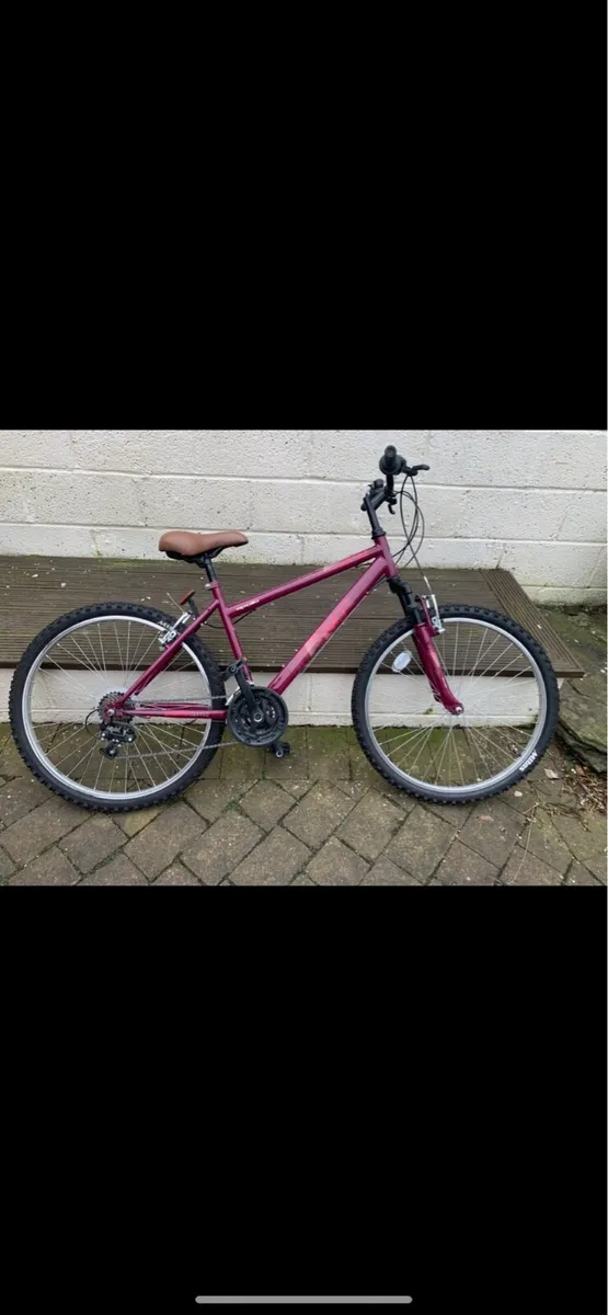 Ladies bike