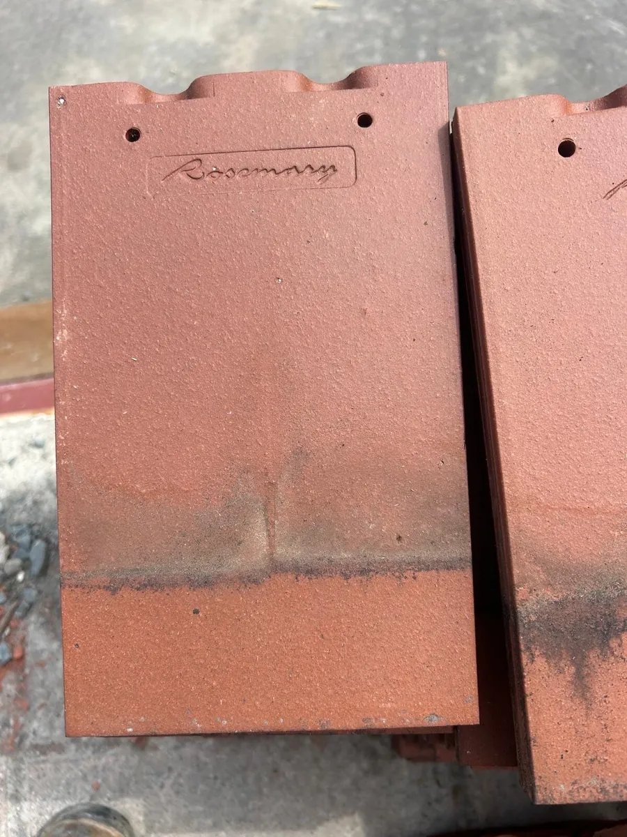 Rosemary tiles - Image 1