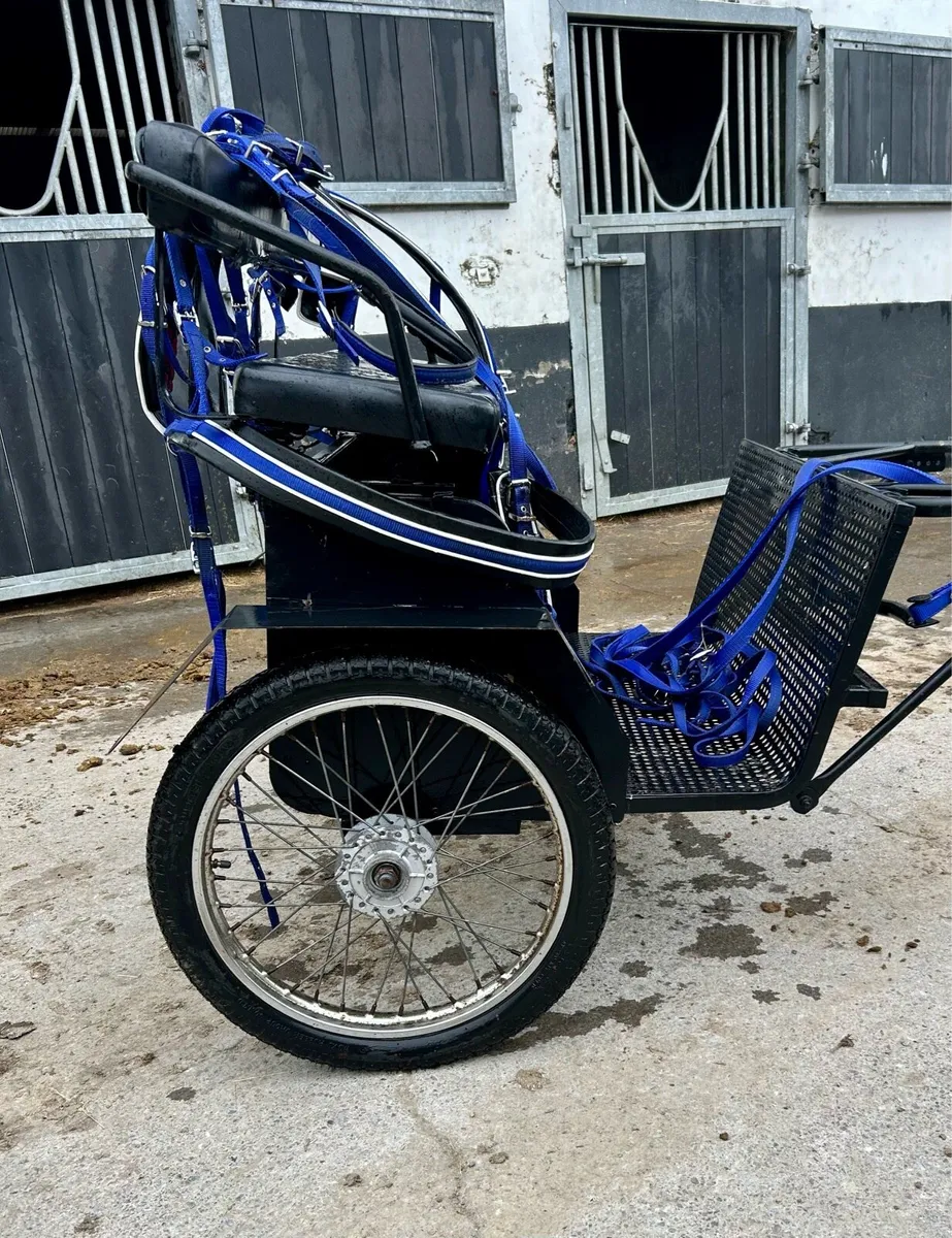 Lovely road cart and harness - Image 1