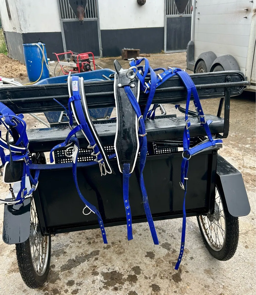 Lovely road cart and harness - Image 2