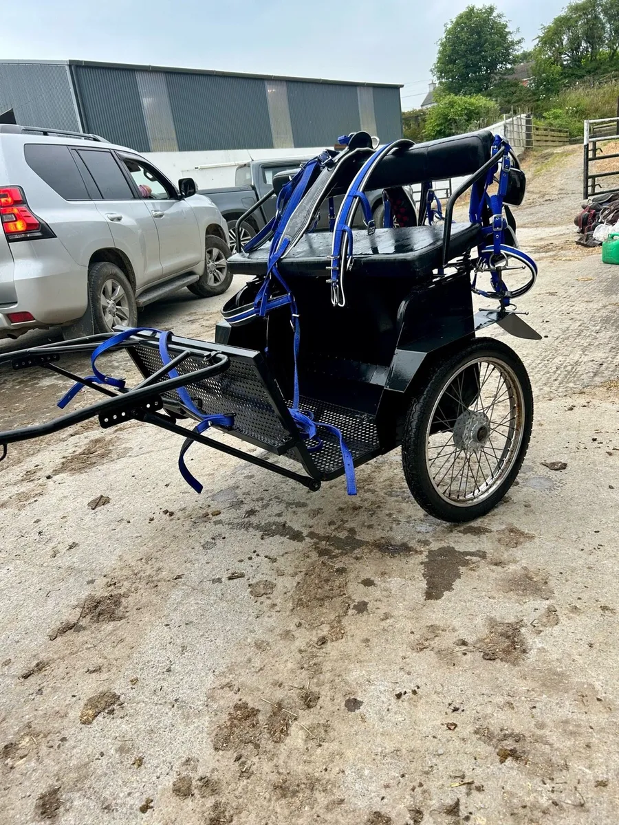 Lovely road cart and harness - Image 3