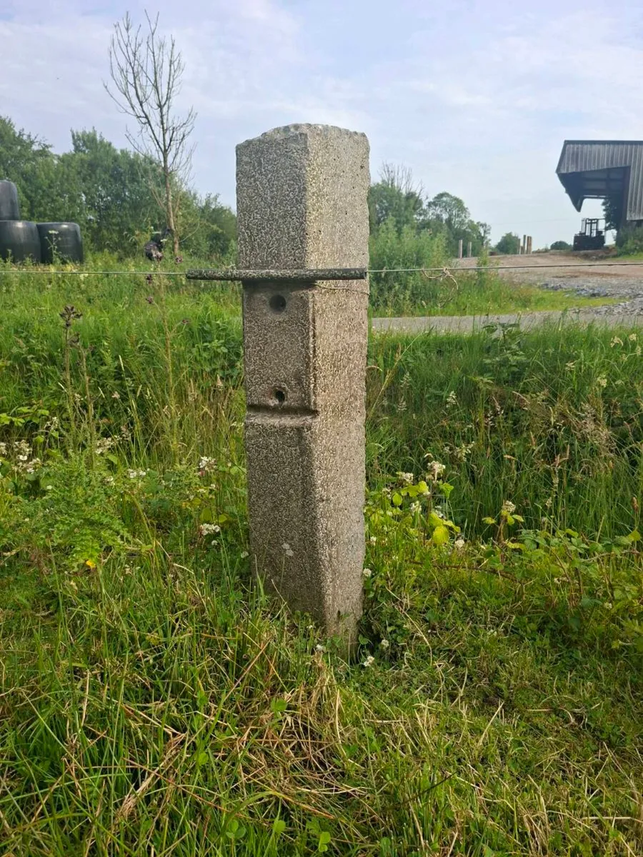 Concrete sleepers  posts - Image 1