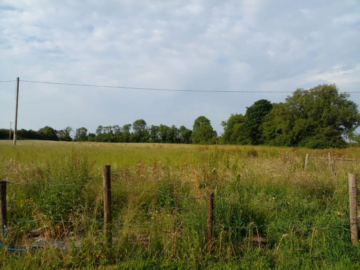 Land for rent for hay or silage - Image 1