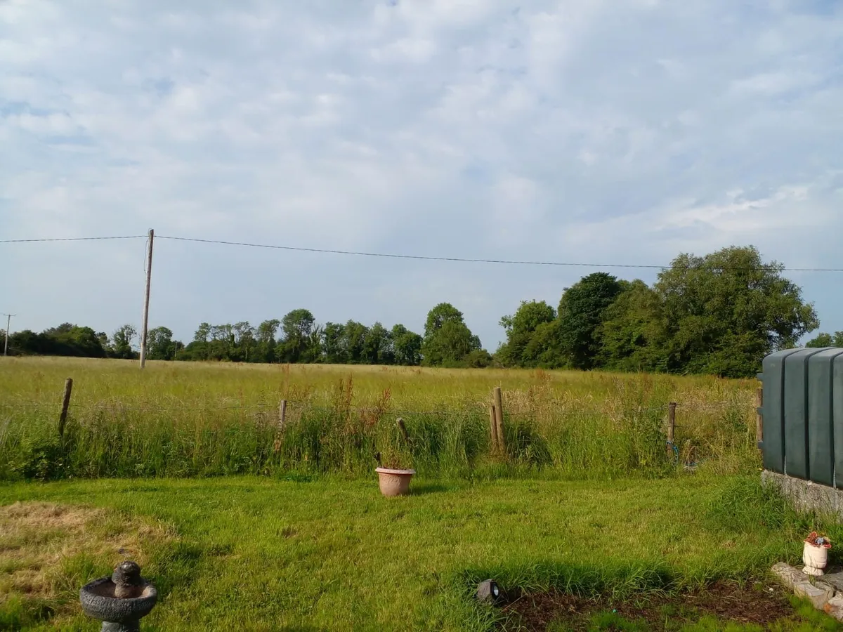 Land for rent for hay or silage - Image 2