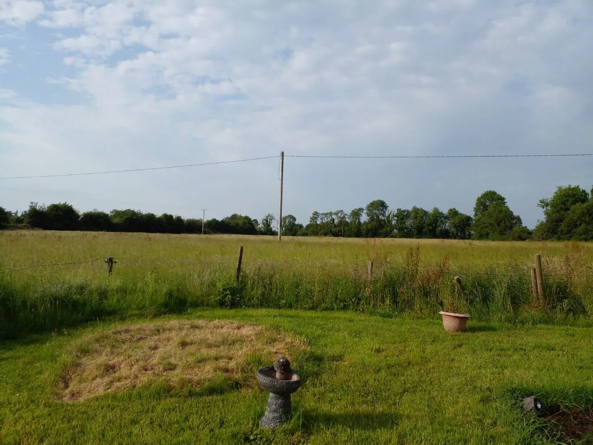 Land for rent for hay or silage - Image 3