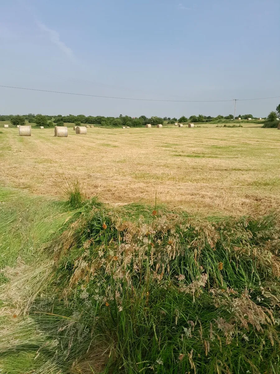 Bales of hay - Image 2