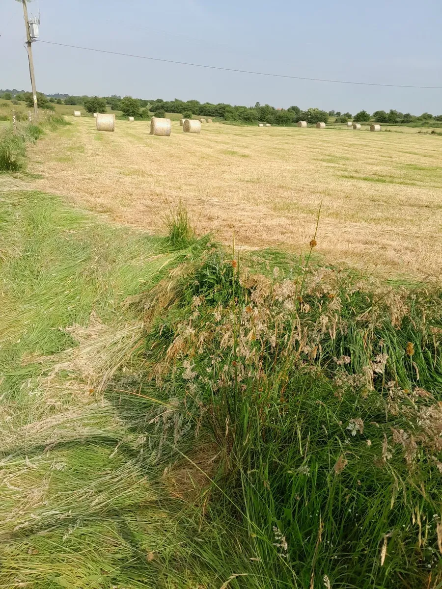 Bales of hay - Image 3