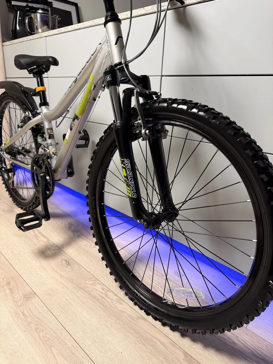 Ridgeback MX24 Terrain Kids Bike 24 inch - Image 4