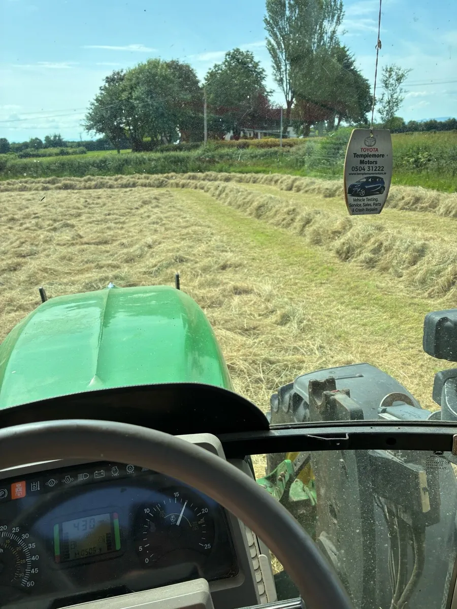 Hay for sale - Image 4