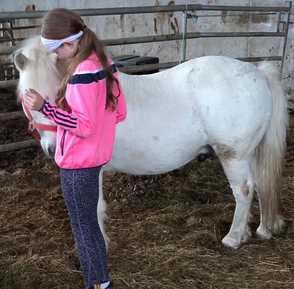 Pebbles – 11hh Lead Rein Pony | The Perfect First - Image 1