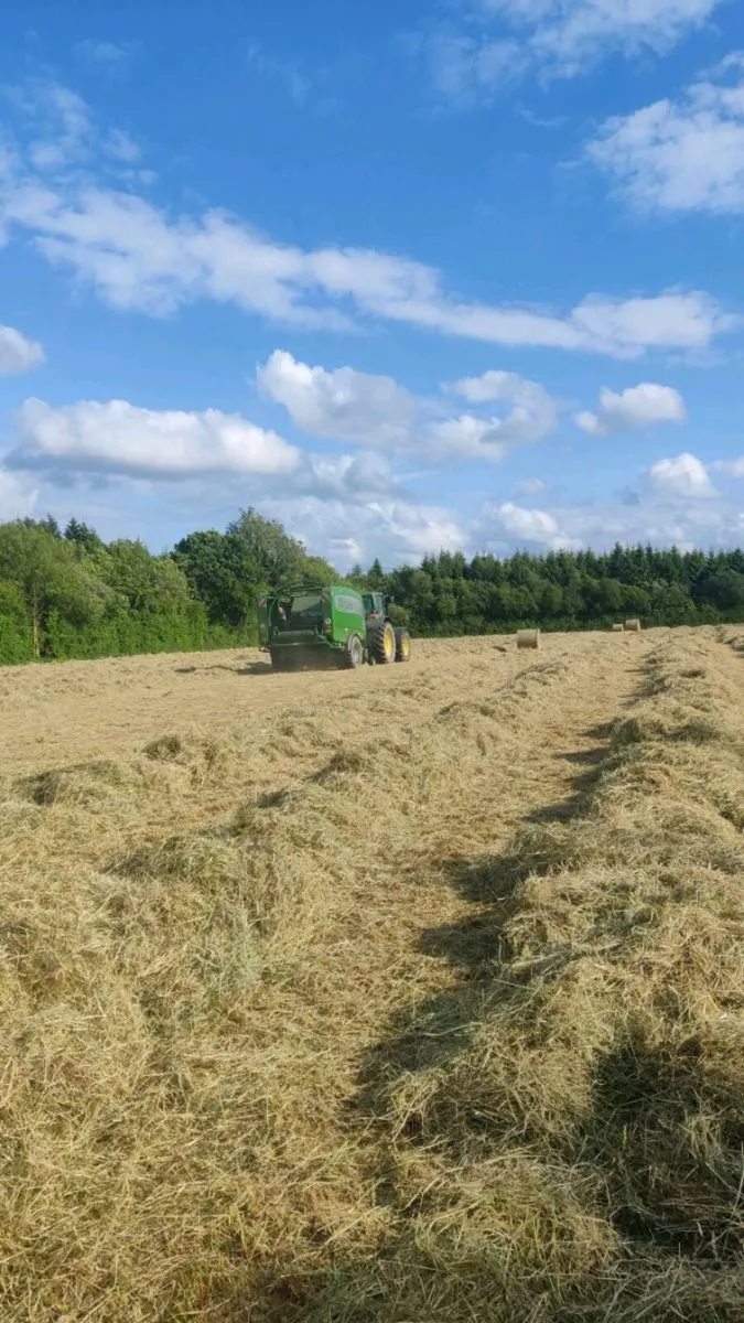 Top Quality Hay suitable for horses - Image 4