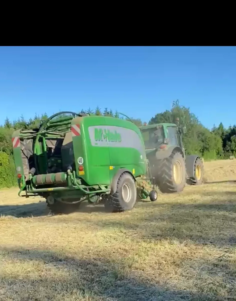 Top Quality Hay suitable for horses - Image 1