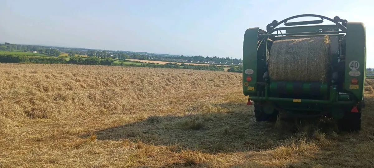 Hay - Image 4