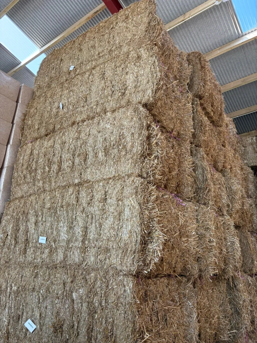 Chopped Barley Straw 8x4x3 Bales - Image 2