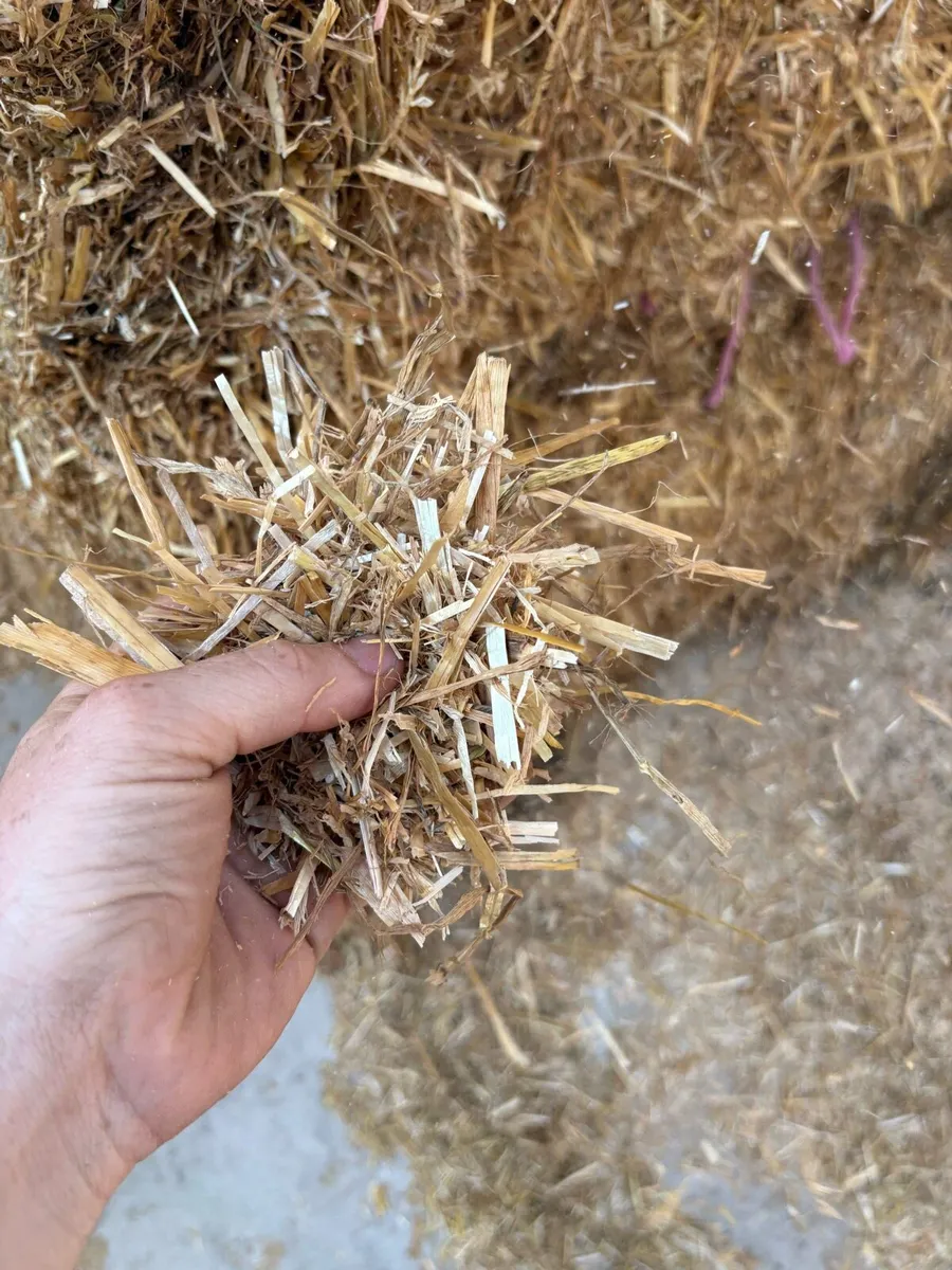 Chopped Barley Straw 8x4x3 Bales - Image 3