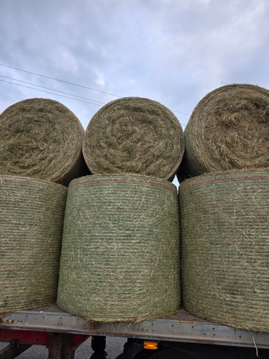 Hay can be delivered - Image 1