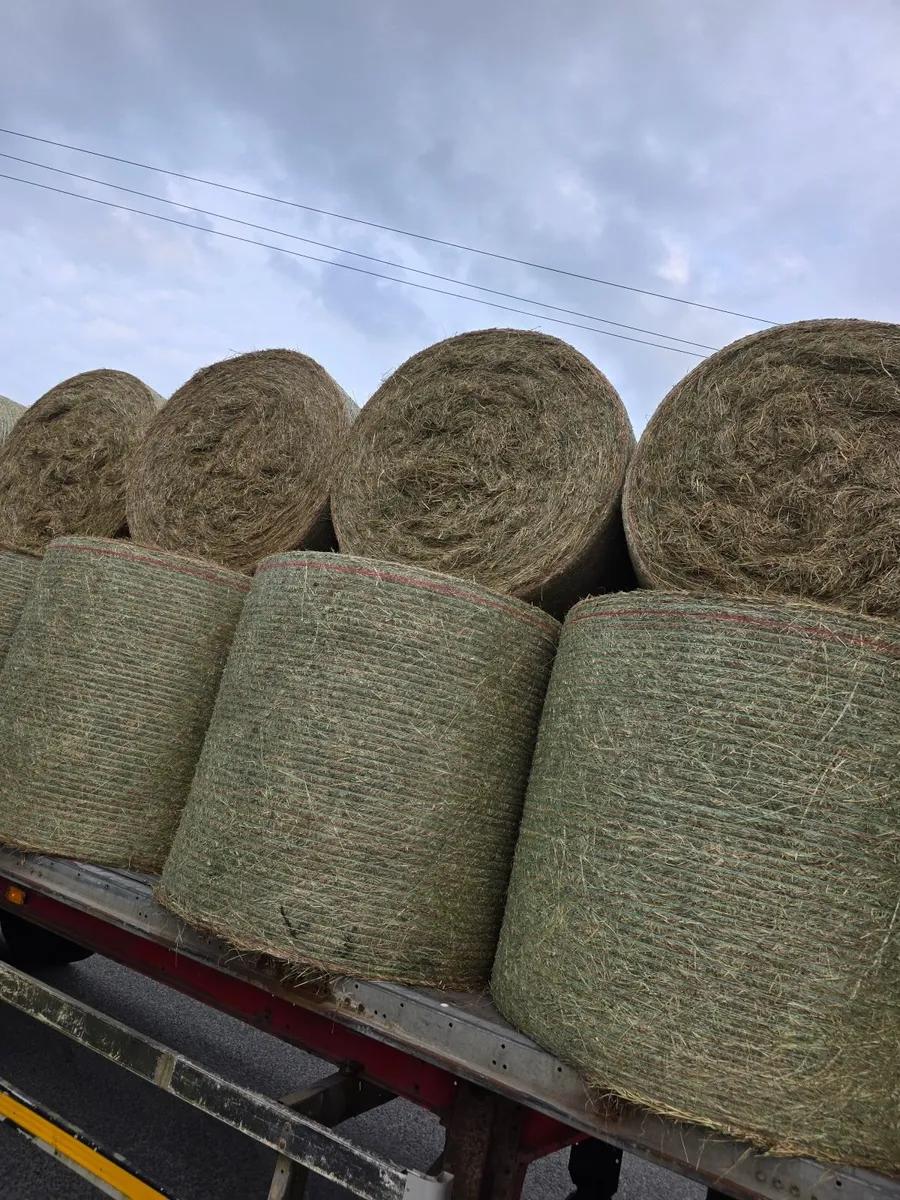 Hay can be delivered - Image 2