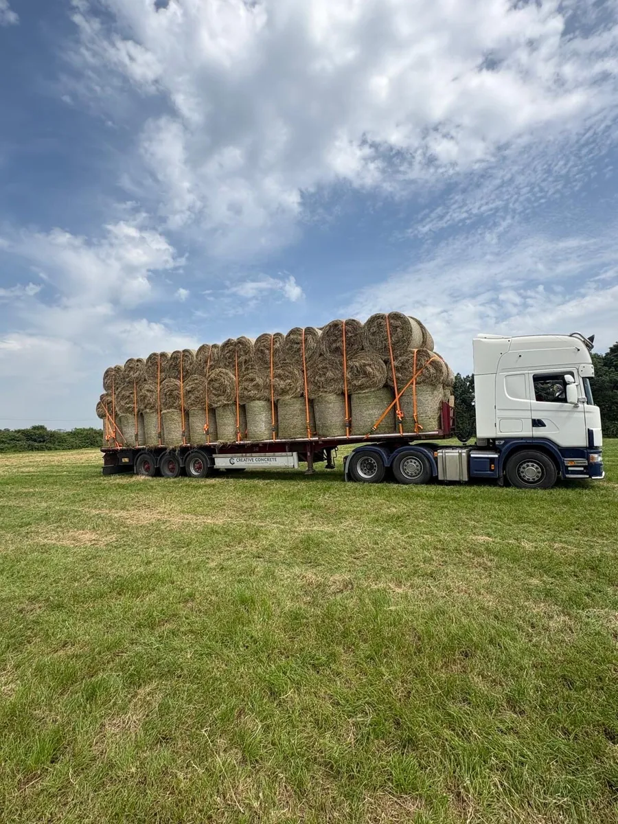 Hay - Image 1