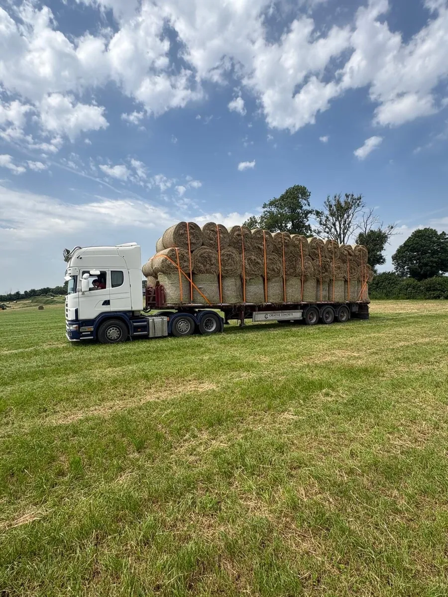 Hay - Image 3