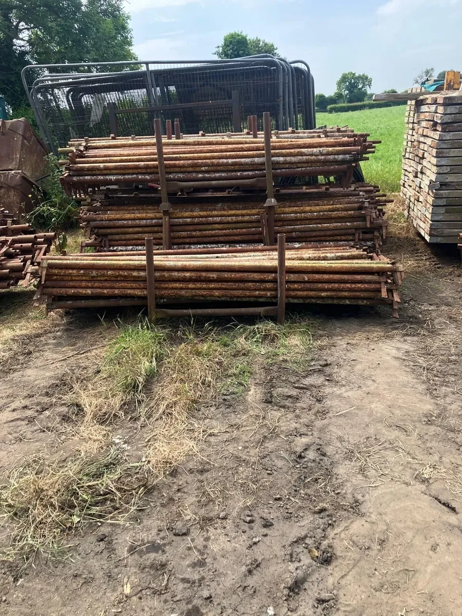 Scaffolding - Image 1