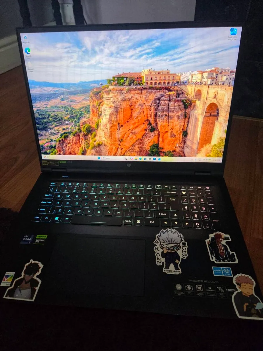Acer - Image 1