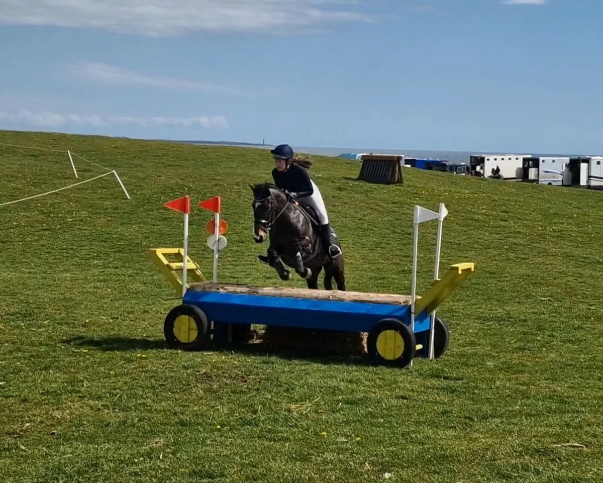Super event pony - Image 1