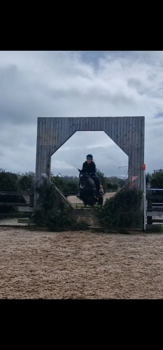 Super event pony - Image 3