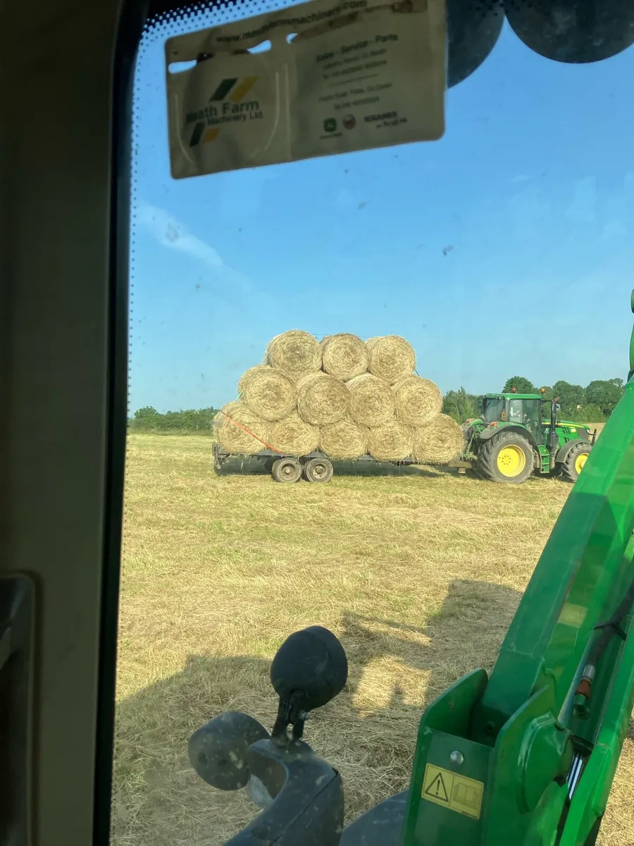 Hay - Image 2