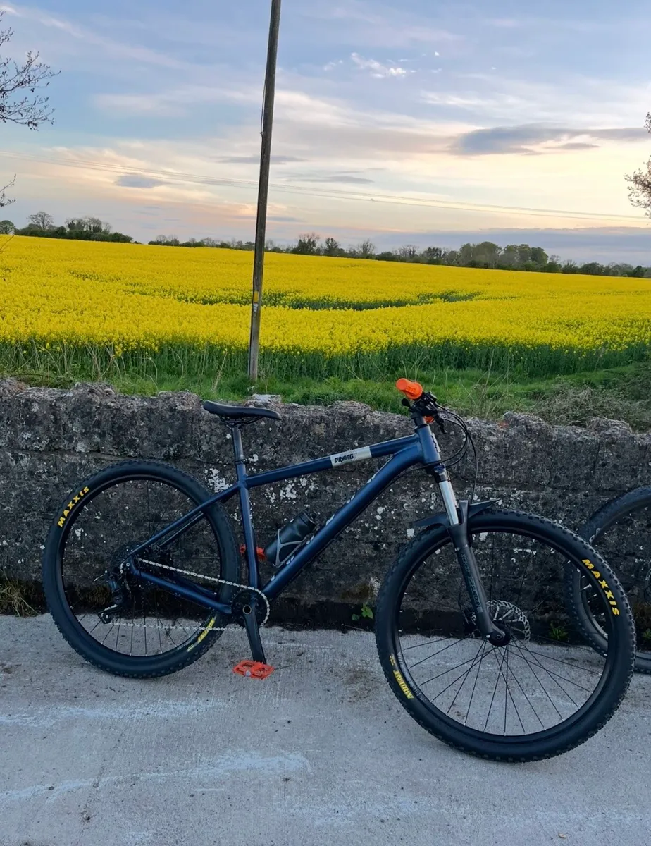 Voodoo Braag Mountain bike - Image 2