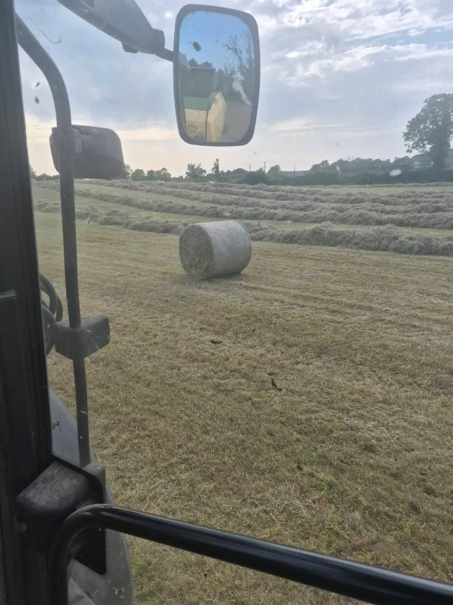 Round Bales of hay for sale - Image 2