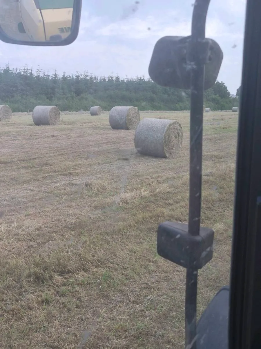 Round Bales of hay for sale - Image 1
