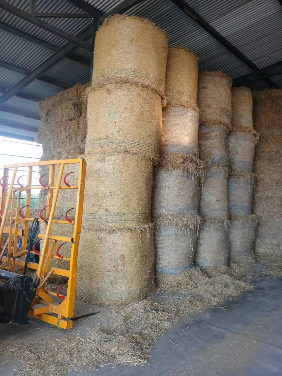 Straw - Image 1