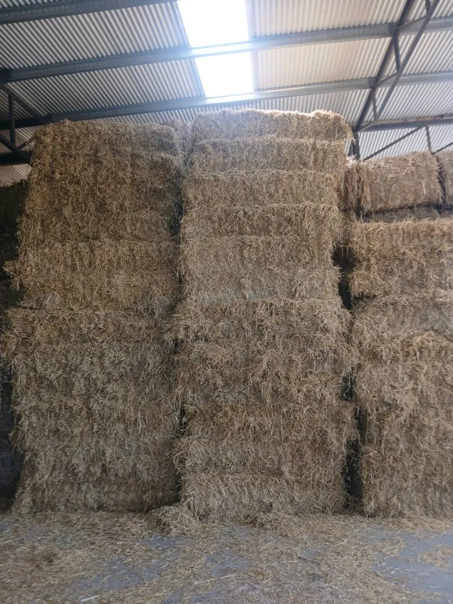 Straw - Image 2