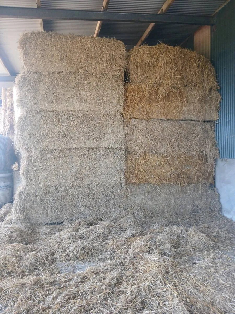 Straw - Image 3
