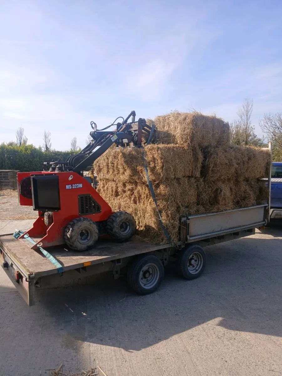 Straw - Image 4