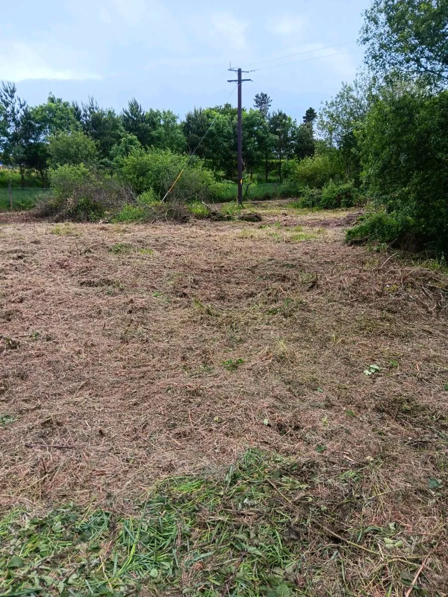 Mulching/Hedge Cutting - Image 2