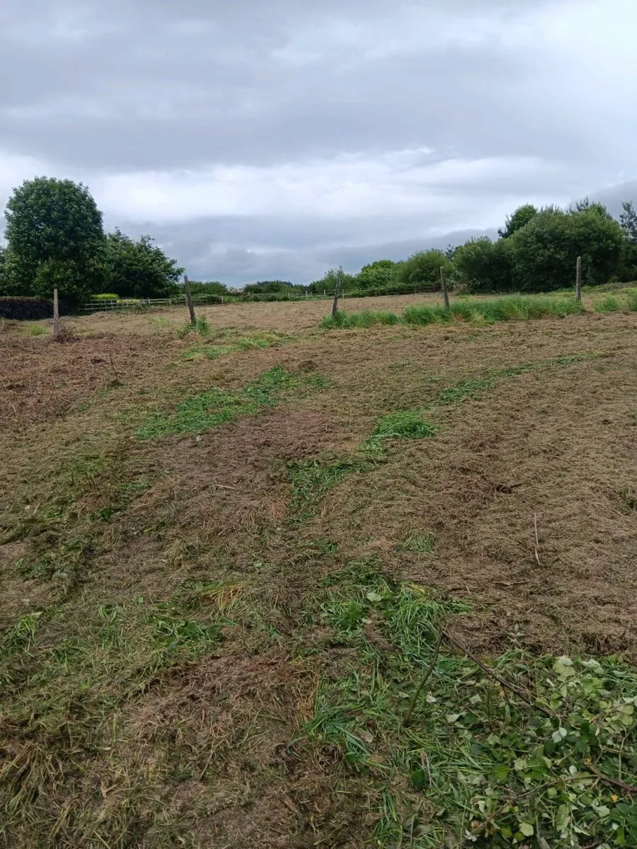 Mulching/Hedge Cutting - Image 3