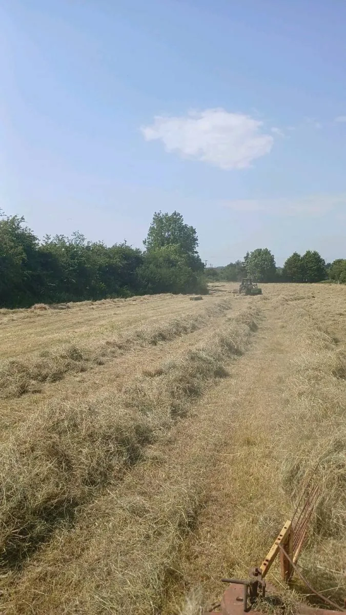 Round Bales and Small Square Bales of Hay