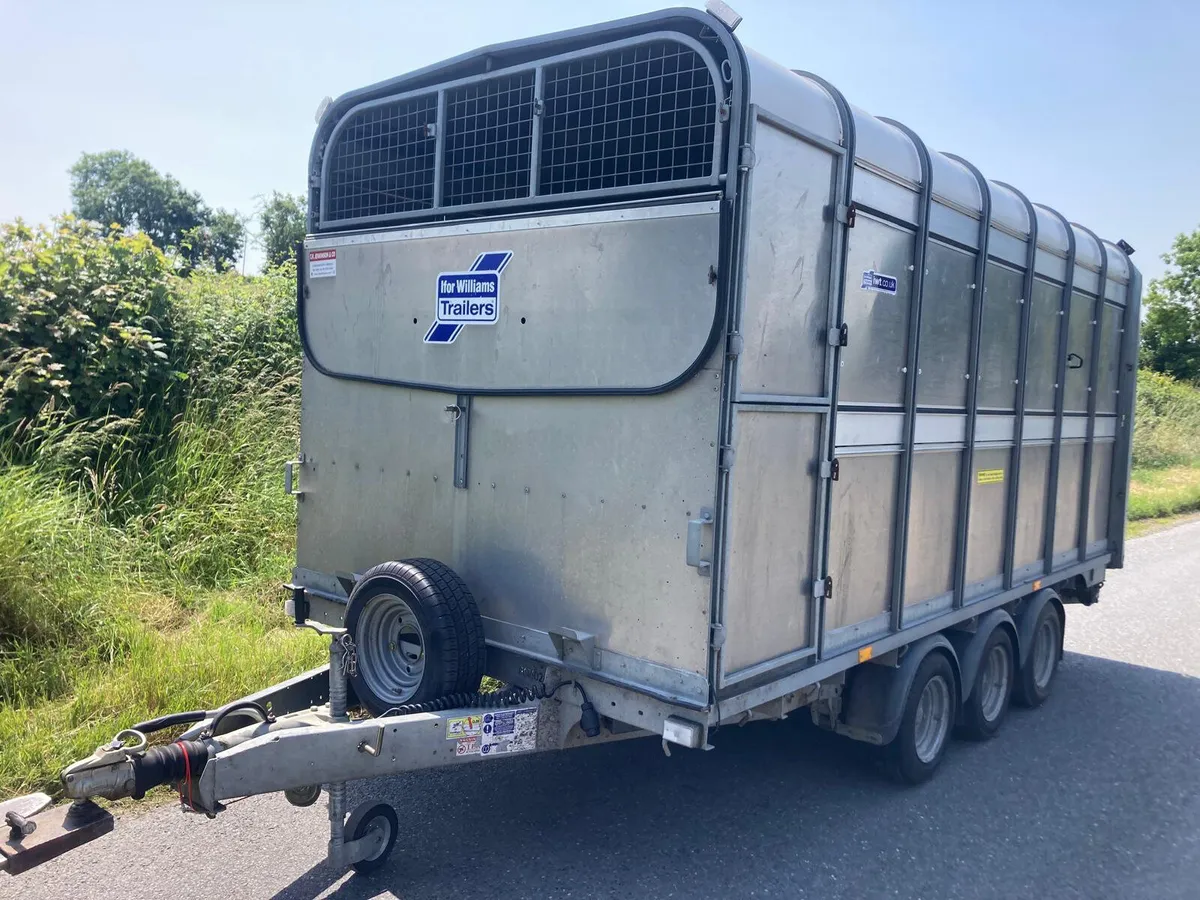 Aug 2023 Ifor Williams DP120-14 Tri Cattle Trailer - Image 1