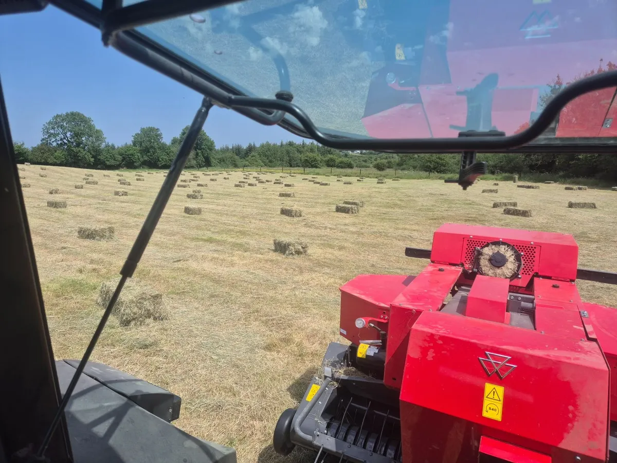 Square bales of hay - Image 1