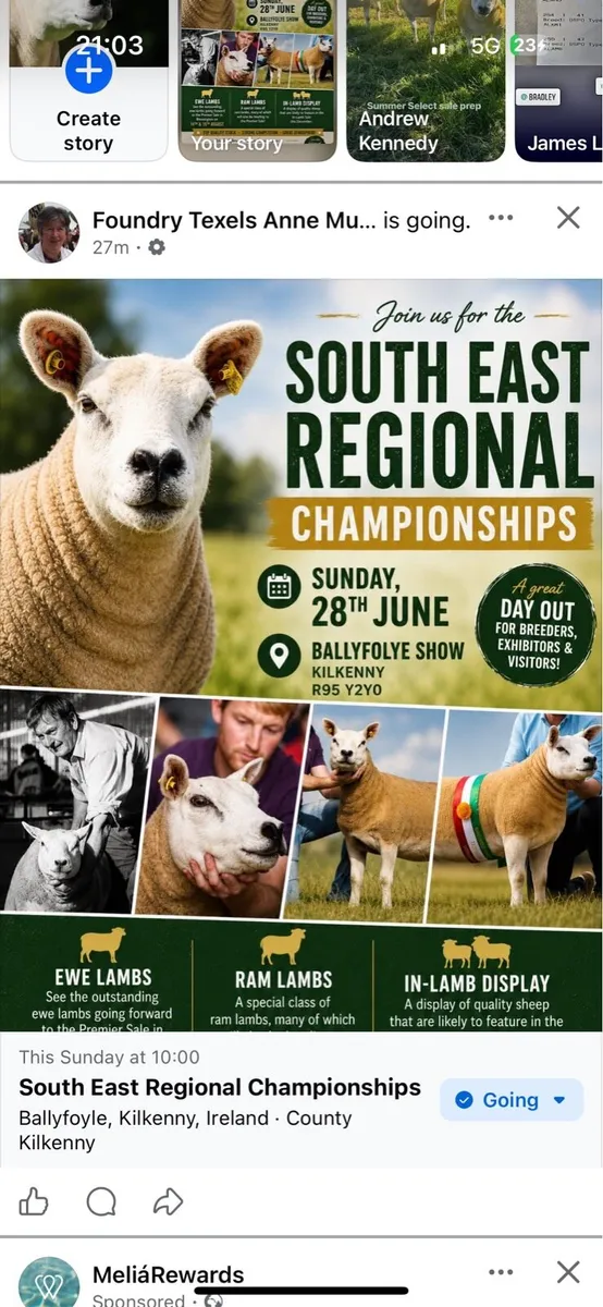South East Texel Championships - Image 3