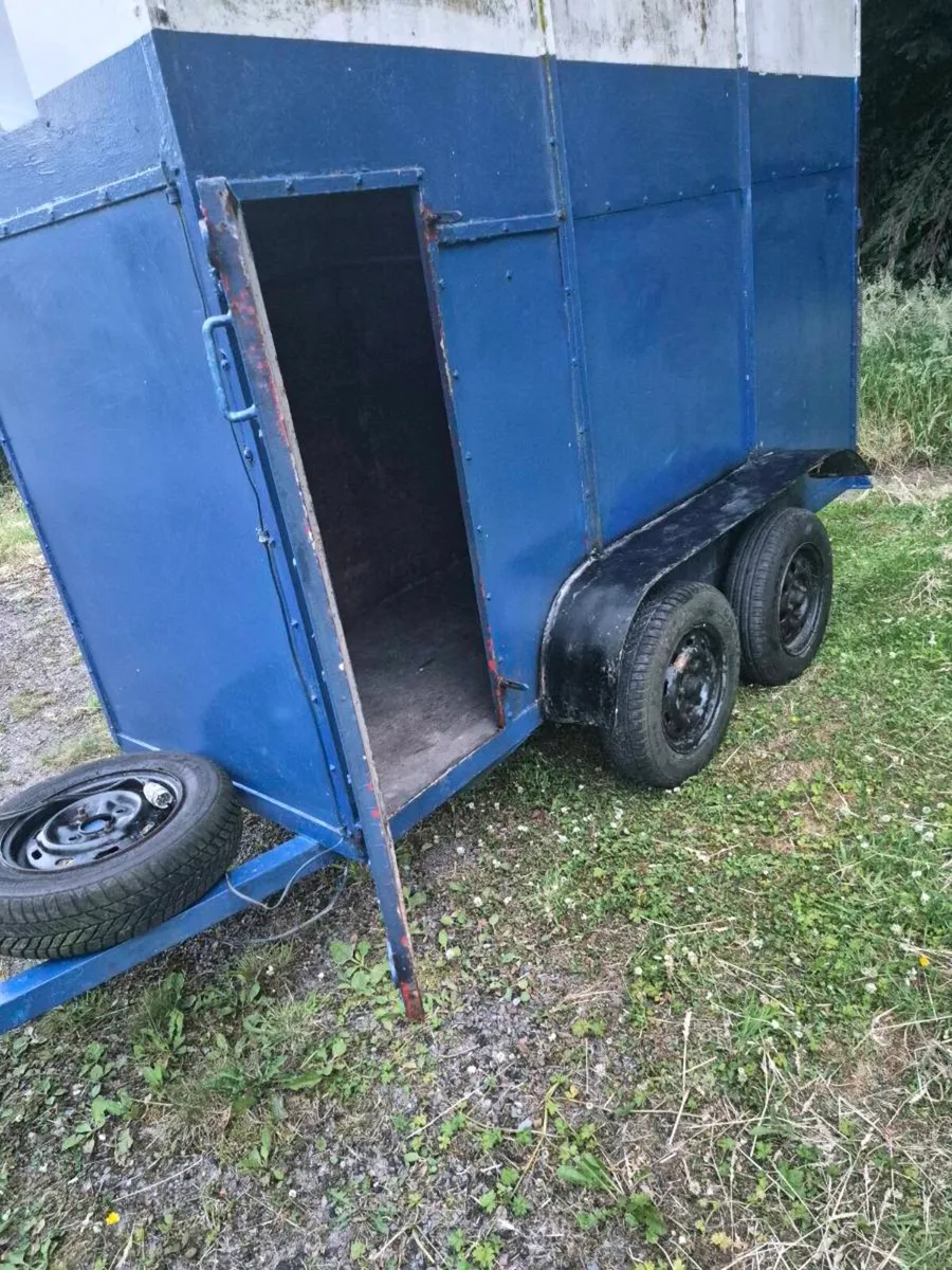 Horse box - Image 3