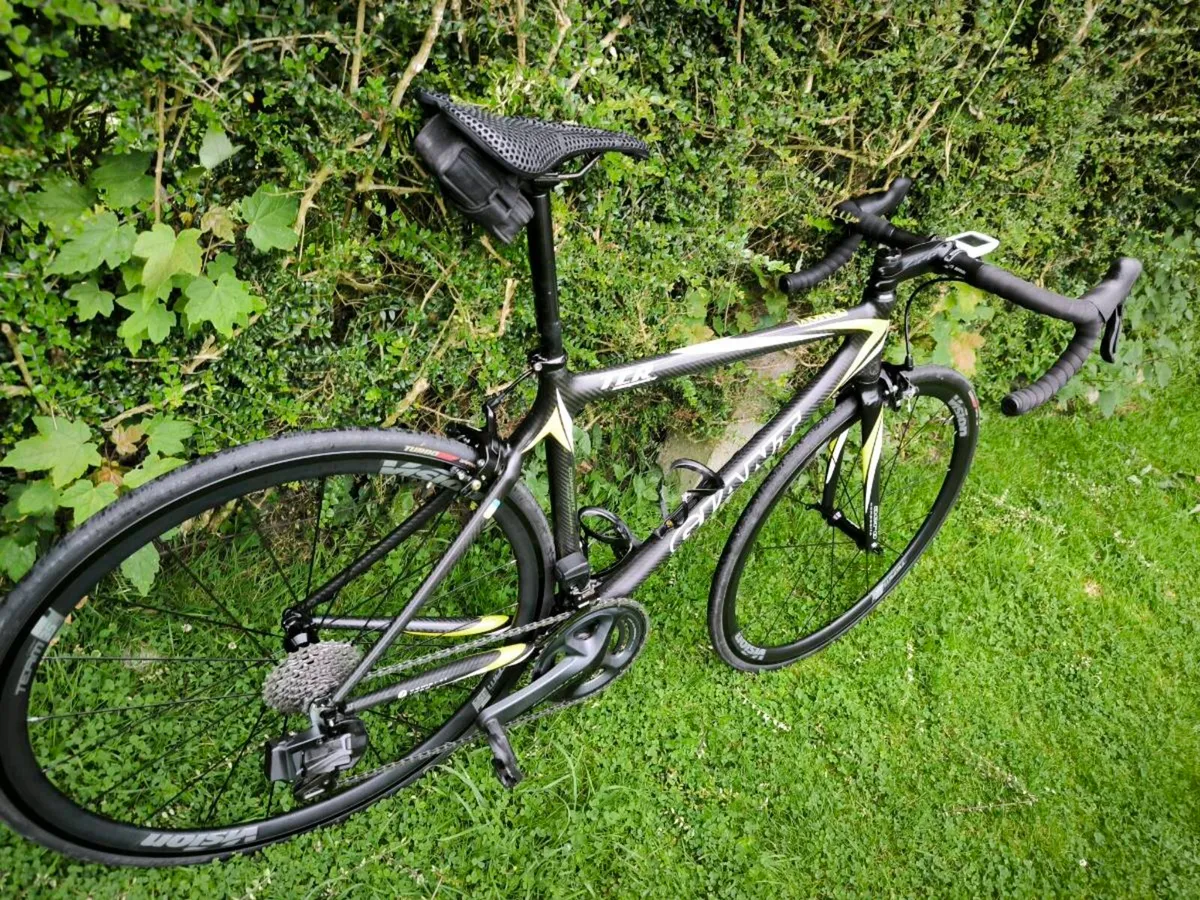 Giant tcr - Image 2