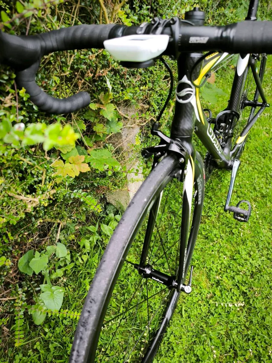 Giant tcr - Image 4