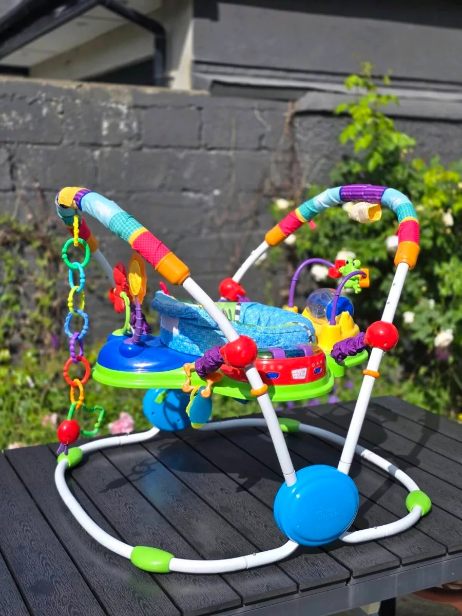 Baby Einstein Bouncer - Image 1