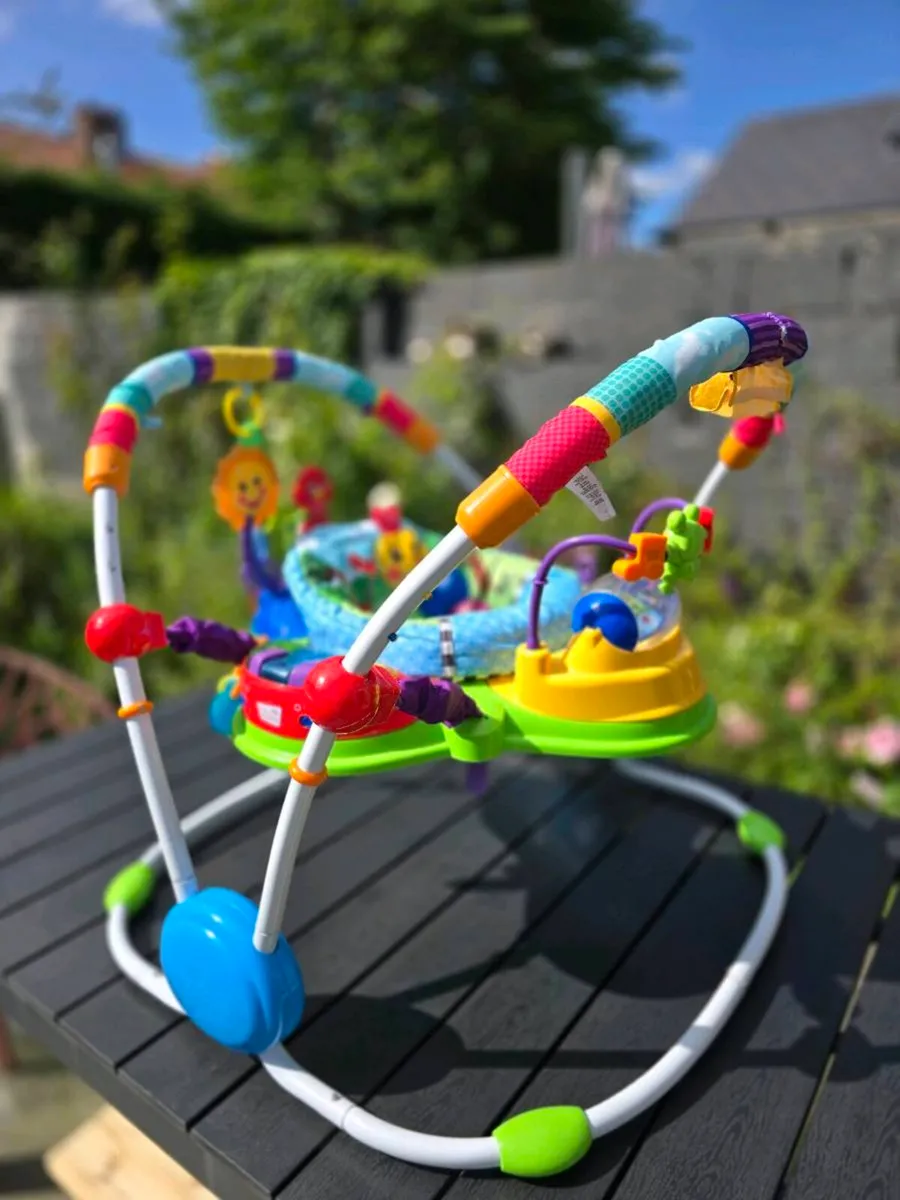 Baby Einstein Bouncer - Image 2