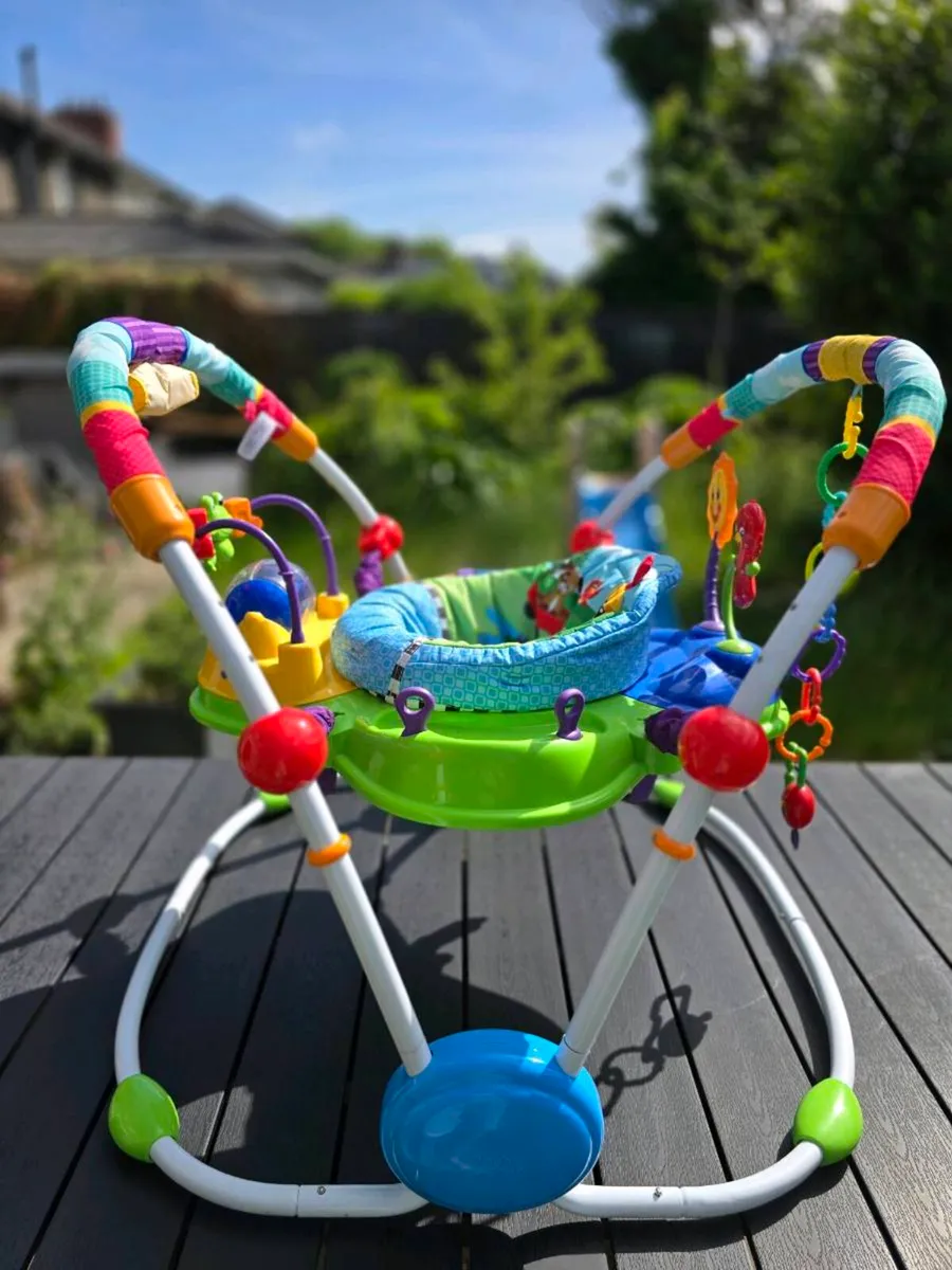 Baby Einstein Bouncer - Image 3