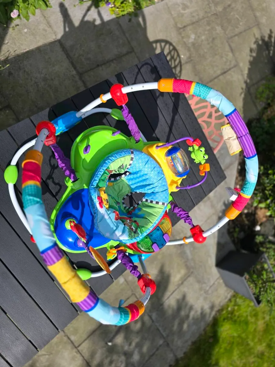 Baby Einstein Bouncer - Image 4