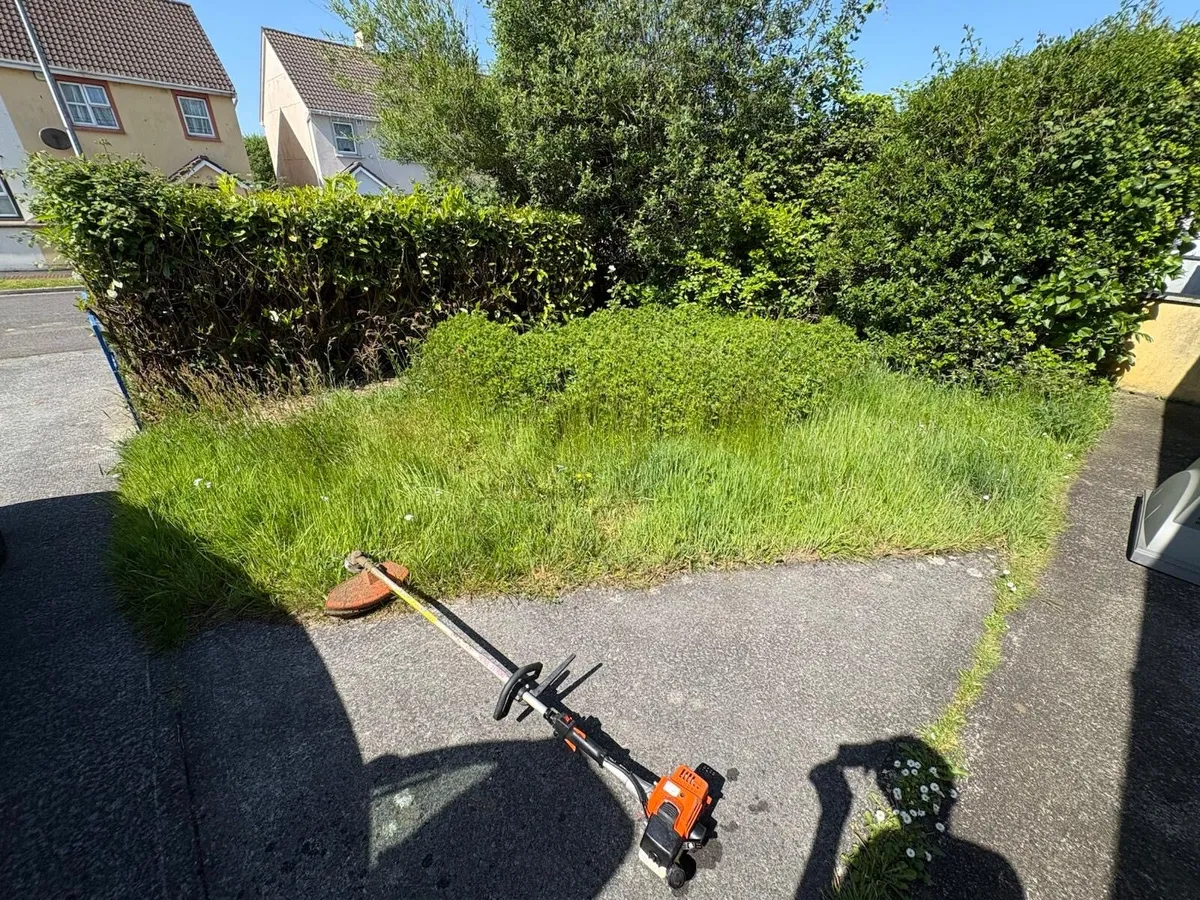 Gardening equipment/Horsebox trailer - Image 3